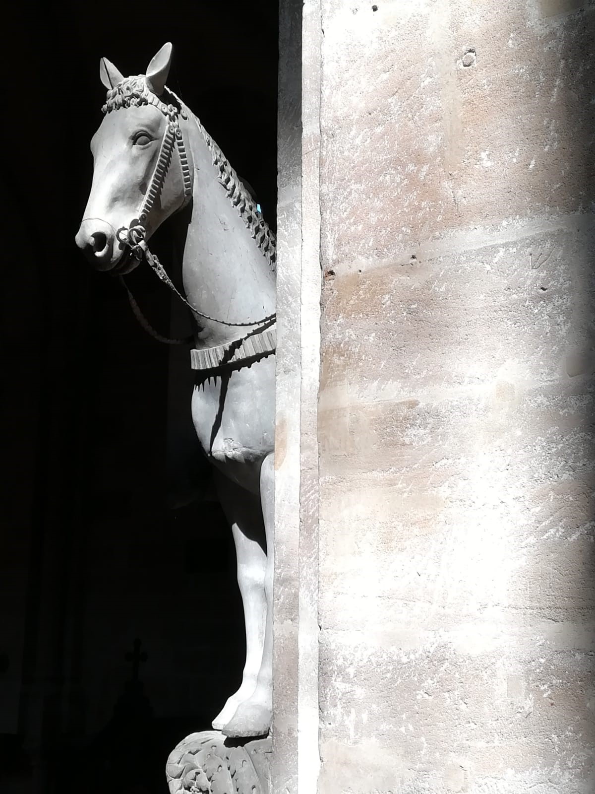 Kopf des Pferdes des Bamberger Reiters